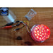 Dark Olive Green trux dual revolution watermelon RED to WHITE with mounting ring new tled-wxrw watermelon sealed led