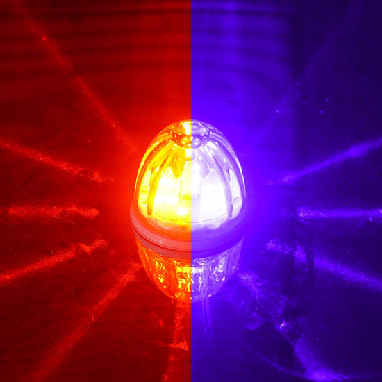 LEGENDARY 2 INCH WATERMELON LIGHT GLASS LENS TWO COLORS CLEAR LENS WITH  LED 4 WIRE PC BASE GROMMETT MOUNT NOT INCLUDED