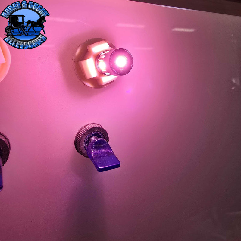194 LED BULB PAIR (CHOOSE COLOR)