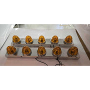 SS-1740 PETERBILT 589 STRAP-MOUNT FRONT AIR CLEANER BRACKET w/ (5) WATERMELON (SOLD IN PAIRS) Air Cleaner Light Slate Gray