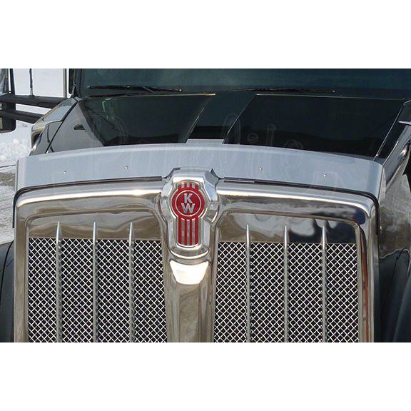 #10045201 Panelite (BUG SHIELD) W990 Kenworth