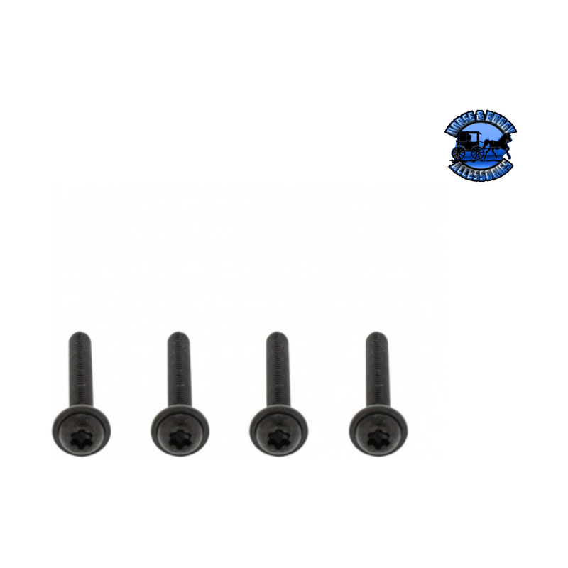 GRILLE SCREW SET FOR 2008-2017 FREIGHTLINER CASCADIA (Choose Color) GRILLE SCREW SET Black Dark Slate Gray
