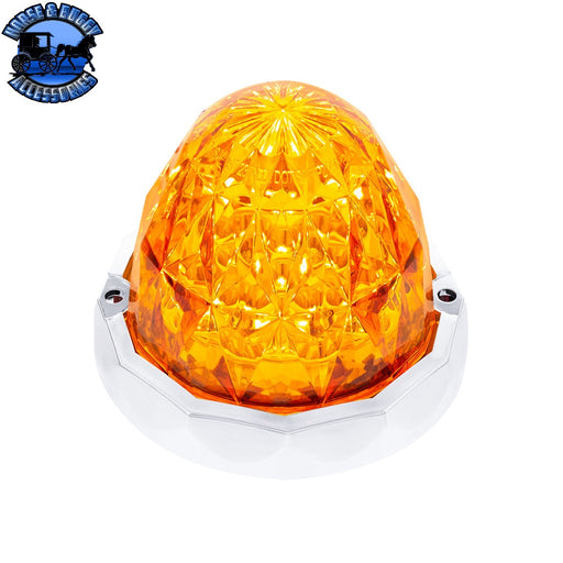 19 LED Dual Function Crystal Watermelon Light Kit With Bezel (Choose LED color) (Choose lens color) Watermelon light kit Amber LED/Amber Orange