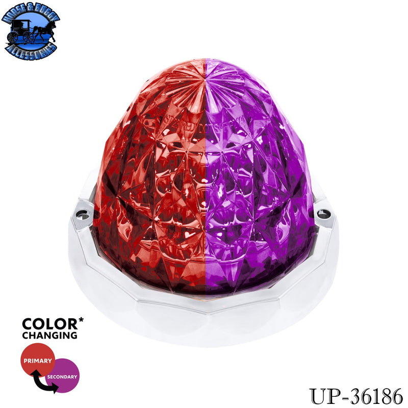 Double Fury 19 LED Dual Function Crystal Watermelon Light Kit With Bezel (Choose LED colors)