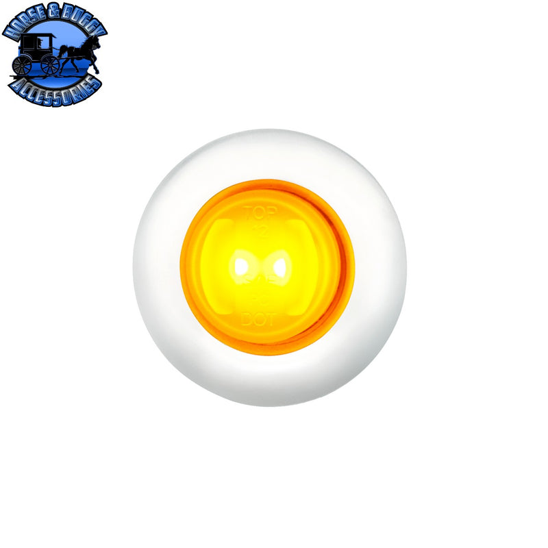 GloLight 2 LED 3/4" Mini Light With Stainless Steel Trim (Choose Color)