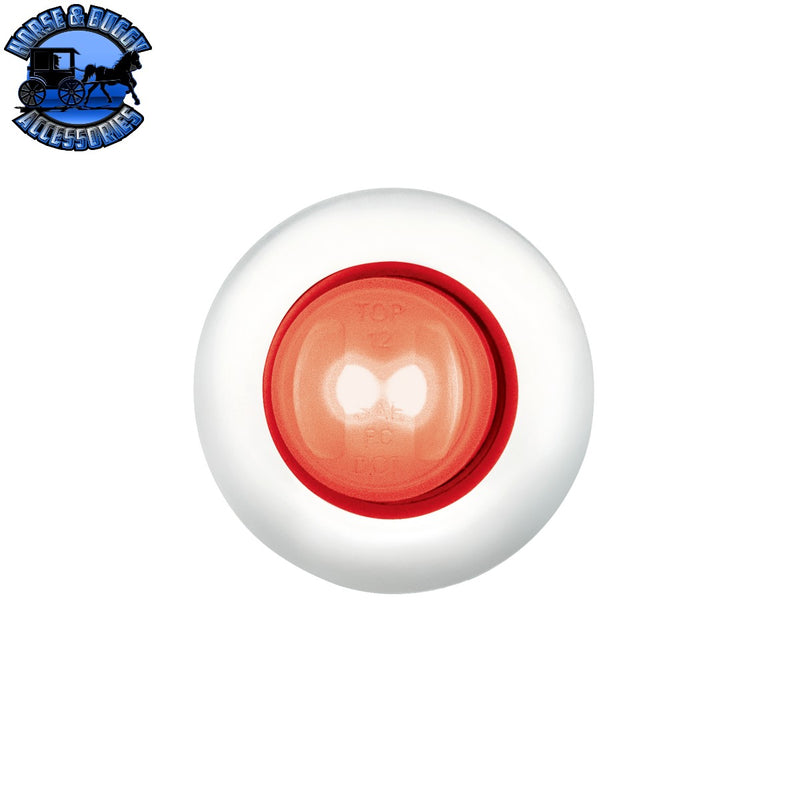 GloLight 2 LED 3/4" Mini Light With Stainless Steel Trim (Choose Color)