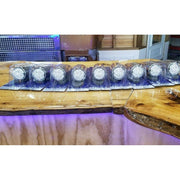 Watermelon Grakon 1000 Cab 19 c/Amber LED Light Truck Set of 9 universal 39824 watermelon sealed led Rosy Brown