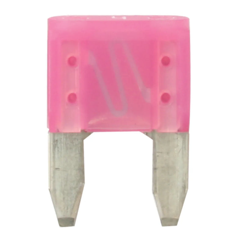 #62920 MINI ATM FUSES, 4 AMP,5PCS/PKG FUSES Pale Violet Red