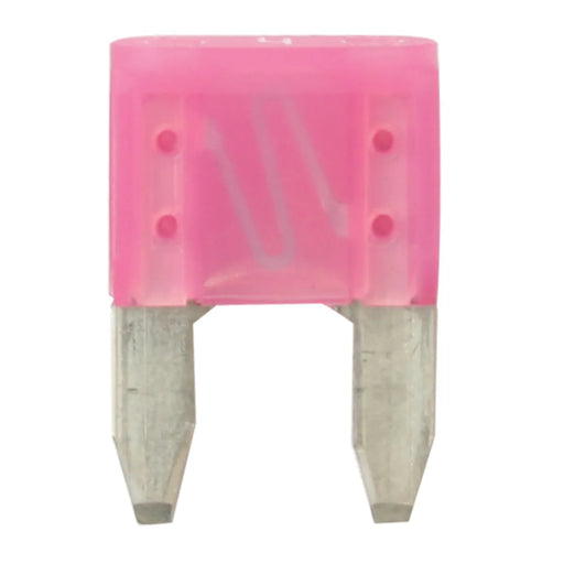 #62920 MINI ATM FUSES, 4 AMP,5PCS/PKG FUSES Pale Violet Red