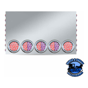 Trux (20" Drop) LED Rear Center Panel 4" & 3/4" LEDs 304 Stainless Steel (choose color) REAR CENTER PANEL Red/Purple Dual - Clear Lens Gray