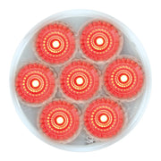 76623BP Spyder Series 2" LED Light, Red/Clear Light Coral