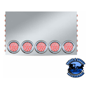 Trux (20" Drop) LED Rear Center Panel 4" & 3/4" LEDs 304 Stainless Steel (choose color) REAR CENTER PANEL Red - Clear Lens Gray