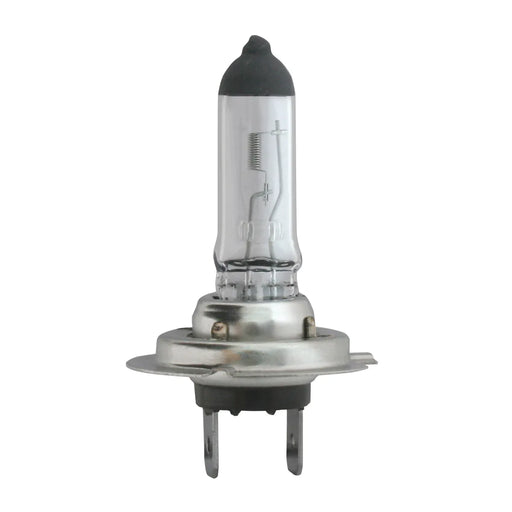 H7 Headlight Halogen Bulb (CLEAR) #82058 Gray