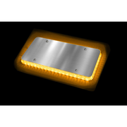 Halo Glow Light for License Plates with (Choose Color) and White LEDs Amber,Blue,Green,Purple,Red Black