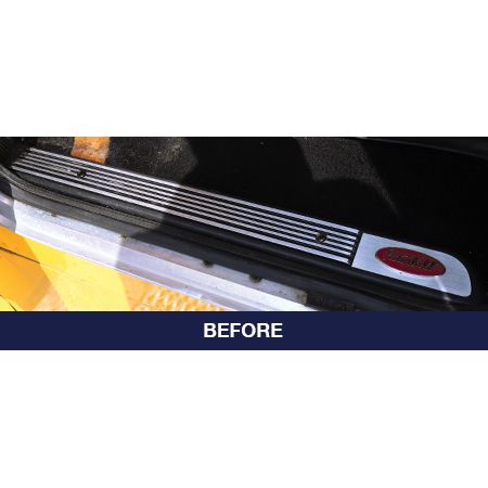 RW237-2-PETE Raised Diamond Cut Billet Door Sill Kit Peterbilt 389
