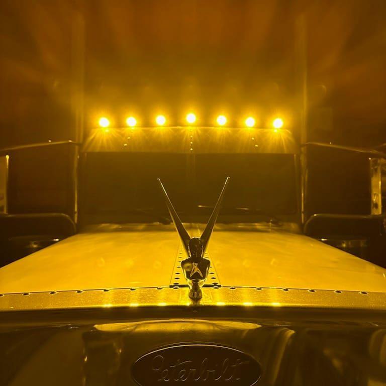 Watermelon (Starburst) light LED with Tower Bulb & Lock Ring (Choose color) Watermelon Light Amber,Red,Amber/Blue,Amber/Green,Amber/Purple,Clear Amber,Clear Red,Red/Blue,Red/Green,Red/Purple,Red/White Saddle Brown