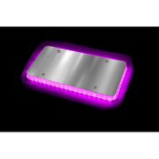 Halo Glow Light for License Plates with (Choose Color) and White LEDs Amber,Blue,Green,Purple,Red Black