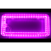 Halo Glow Light for License Plates with (Choose Color) and White LEDs Purple Purple
