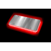 Halo Glow Light for License Plates with (Choose Color) and White LEDs Amber,Blue,Green,Purple,Red Black