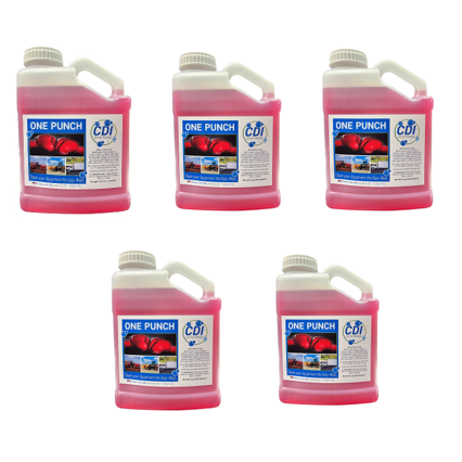 ONE PUNCH ONE PUNCH CASE-5 GALLONS Gray