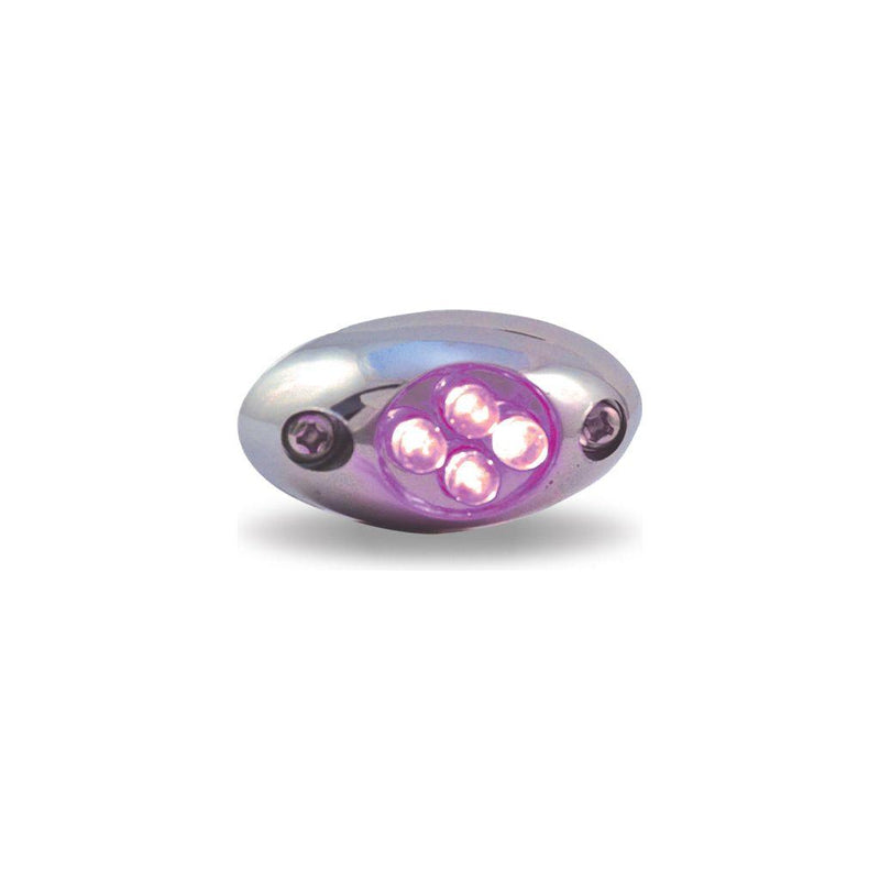 Purple Courtesy LED (4 Diodes) LED LIGHTING Dark Gray