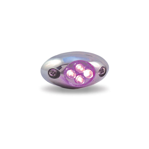 Dark Gray Purple Courtesy LED (4 Diodes) LED LIGHTING