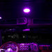 Black Trux LED Interior Projector Dome Cab Light for Peterbilt - 18 Diodes (Choose Color) CAB LIGHT Chrome,Black