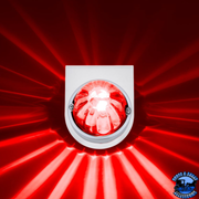 STAR-BURST GLASS WATERMELON LIGHT WITH STAINLESS STEEL LIGHT BRACKET KIT (Choose LED Color) (Choose Lens Color) watermelon Amber / Amber,Amber / Dark Amber,Amber / Clear,Red / Red,Red / Clear,White / Clear Salmon