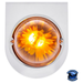 Light Gray STAR-BURST GLASS WATERMELON LIGHT WITH STAINLESS STEEL LIGHT BRACKET KIT (Choose LED Color) (Choose Lens Color) watermelon glass lens Amber / Amber,Amber / Dark Amber,Amber / Clear,Red / Clear,White / Clear