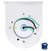 STAR-BURST GLASS WATERMELON LIGHT WITH STAINLESS STEEL LIGHT BRACKET KIT (Choose LED Color) (Choose Lens Color) watermelon Amber / Amber,Amber / Dark Amber,Amber / Clear,Red / Red,Red / Clear,White / Clear Lavender