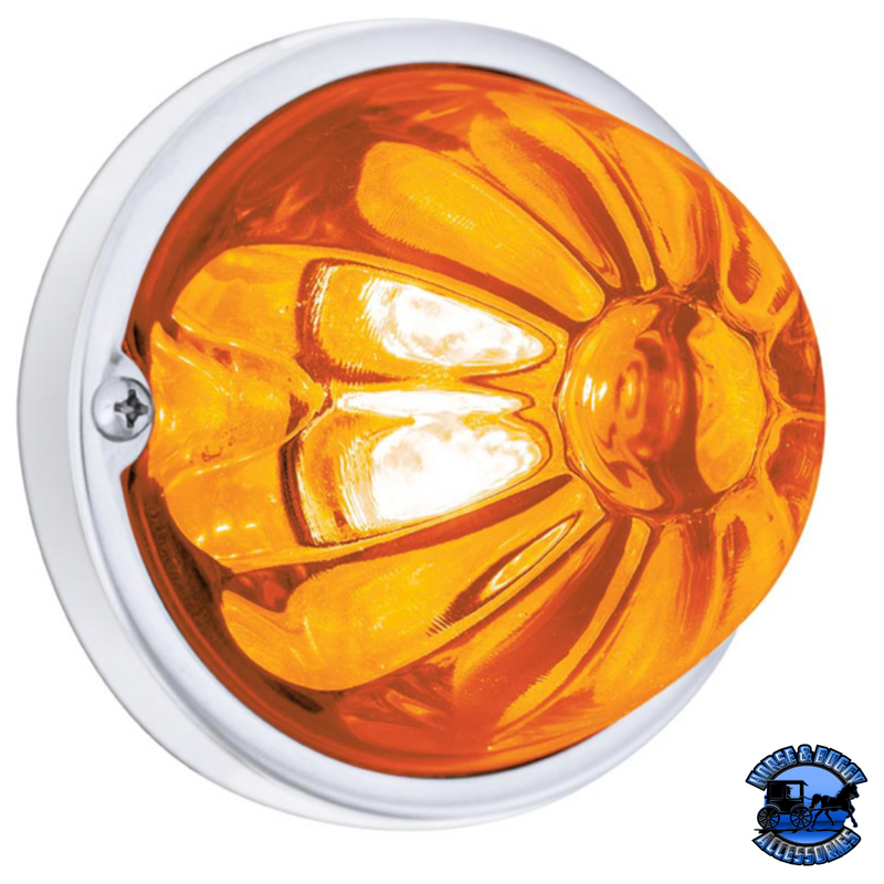 GLASS WATERMELON LIGHT KIT WITH 4 LED LIGHT (Choose LED Color) (Choose Lens Color) watermelon glass lens Amber / Amber Goldenrod