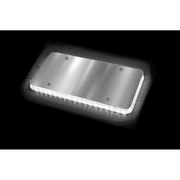 Halo Glow Light for License Plates with (Choose Color) and White LEDs Amber,Blue,Green,Purple,Red Black