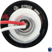 Grand General 1" Mini Push/Screw watermelon LED  Light With Chrome Plastic Bezel watermelon sealed led Amber/Amber,Amber/Clear,Red/Red,Red/Clear,White/Clear,Blue/Blue,Blue/Clear,Green/Green,Green/Clear Black