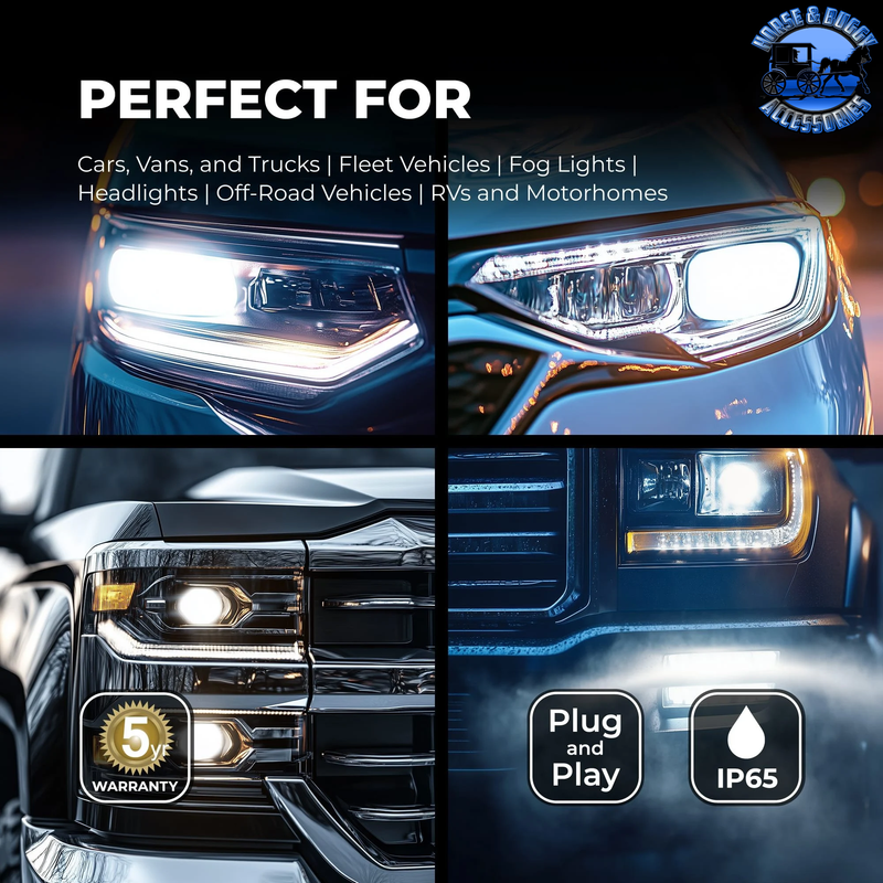 XPHL-H3  H3 LED Bulbs - High Beam / Low Beam / Fog Light - 6,000 Lumens - 6500K