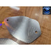 Dim Gray 43627 Peterbilt plates horn delete kit stainless steel paintable custom pair #43627 PETERBILT
