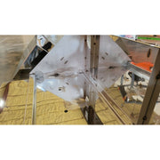 #t-30-304 peterbilt 359,379,389,388 304 stainless steel battery step box 30" PETERBILT Rosy Brown