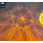 Grand General CLASSIC WATERMELON SURFACE MOUNT LED LIGHT TURN/MARKER LIGHTS watermelon sealed led 81940 amber/amber,81941 amber/clear,81942 red/red,81943 red/clear,81944 cool white,81945 blue/blue,81946 green/green,81947 warm white,81948 blue/clear,81949 green/clear,81950 amber/amber light only,81951 amber/clear light only,81952 red/red light only,81953 red/clear light only,81954 cool white -light only,81955 blue/blue light only,81956 green/green light only,81957 warm white -light only,81958 blue/clear ligh